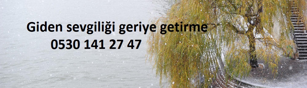 mete hoca