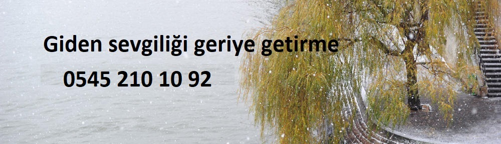 mete hoca